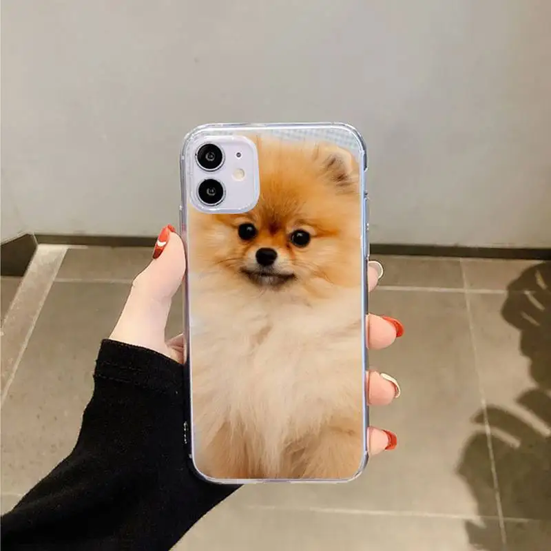 

Pomeranian dogs dog Phone Cases Transparent for iPhone 6 7 8 11 12 s mini pro X XS XR MAX Plus