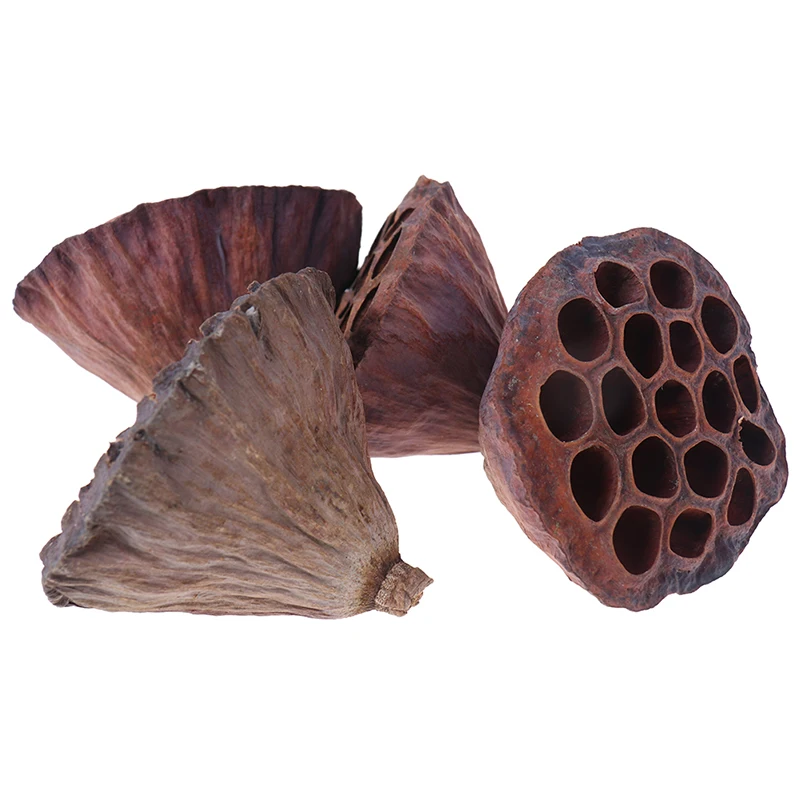 Цветы натурального сушеного лотоса 1 шт. украшение для офиса Цветочная