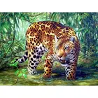 Картина по номерам на холсте, 60 х75 см, с леопардовой рамкой
