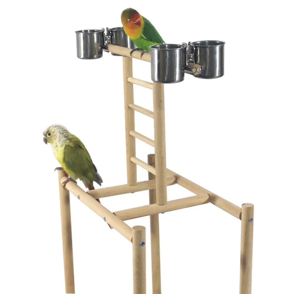 Игровая подставка для попугаев тренажерного зала Ранняя чашка клетка лестницы