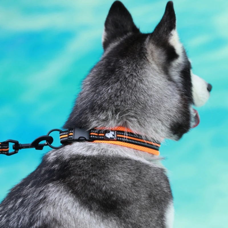 

Ошейник для собак, утолщенный Регулируемый светоотражающий трос, кольцо из сплава, подходит для маленьких, средних и больших питомцев