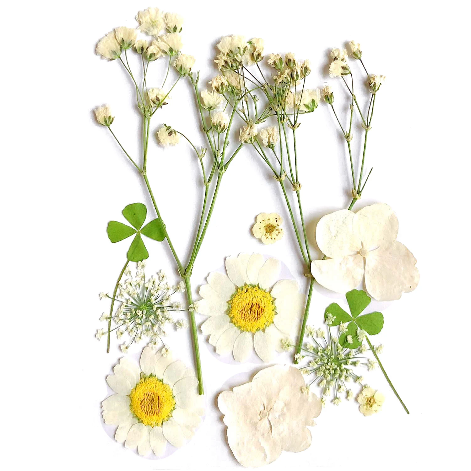 

1 Bag Large Petal Dried Flowers UV Resin Filling Jewelry Decorative Natural Pressed Flower Art Floral Decors Epoxy Resin Mold