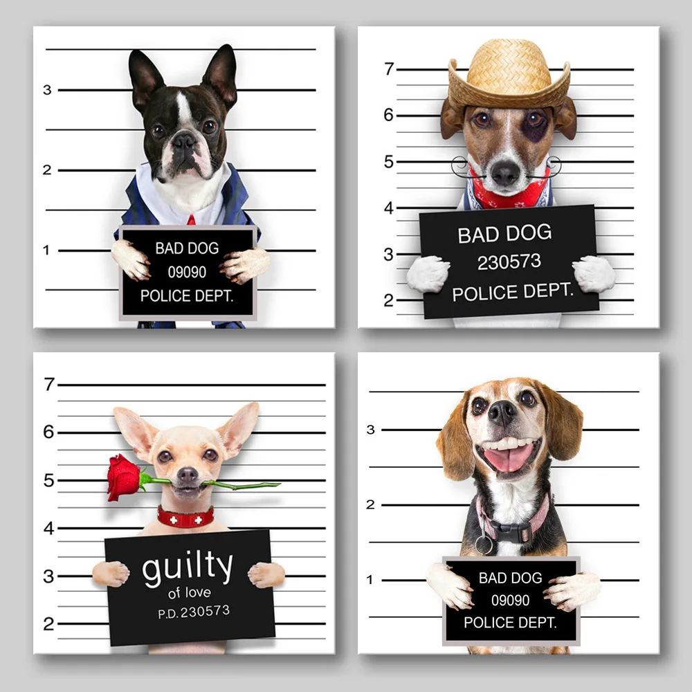 Скандинавские Животные Собака полиция фото плохая девушка Плохая декоративная