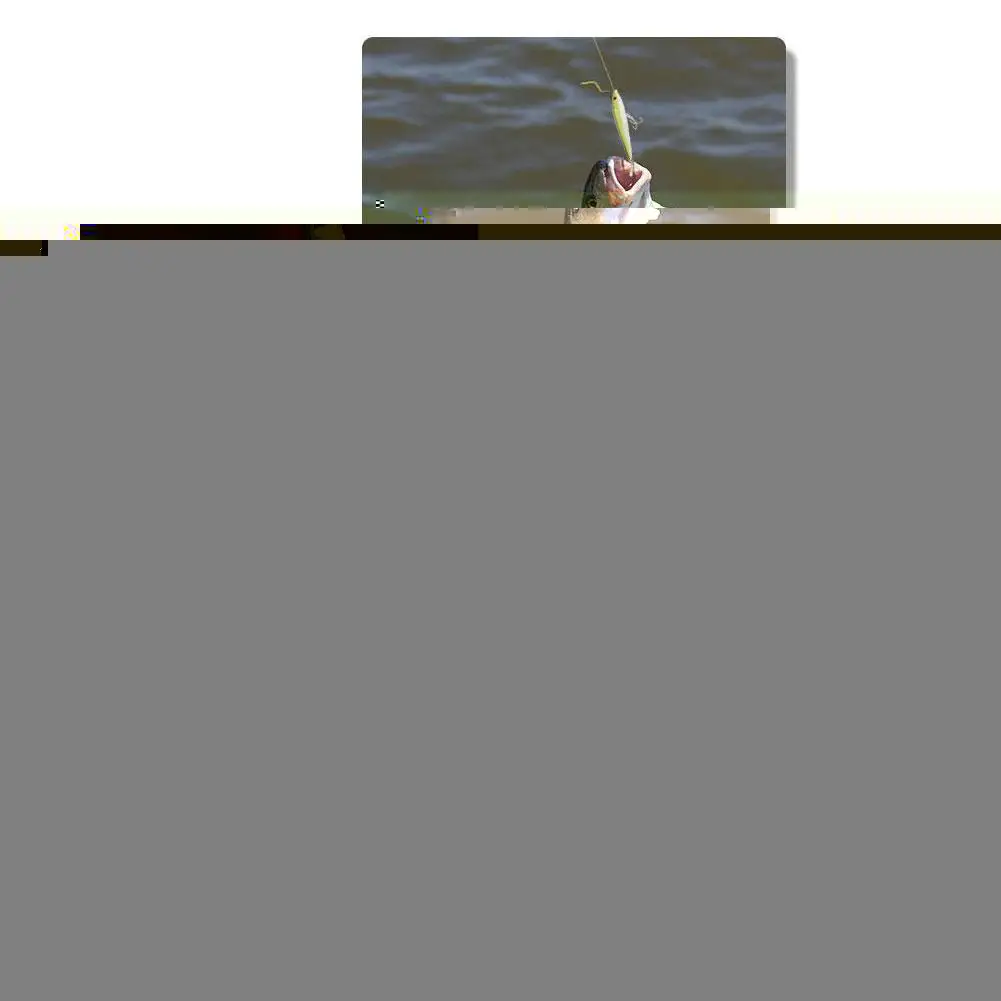 

Sequin Luya Bait Edamame Rotating Sequin Luya Bait 7g 12g 16.5g Three Specifications Mini Artificial Bait