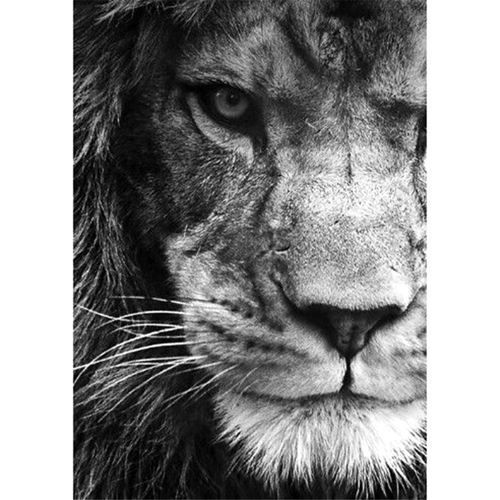 

Набор для вышивки крестиком 11CT с принтом тигра льва волка совы