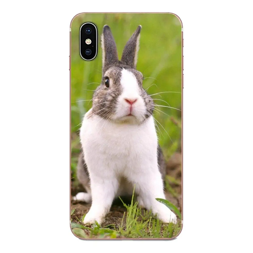 Симпатичные Mr коала Пасха Банн Кролик для huawei Honor 4C 5A 5C 5X6 6A 6X7 7A 7C 7X8 8C 8S 9 10 10i 20 20i Lite