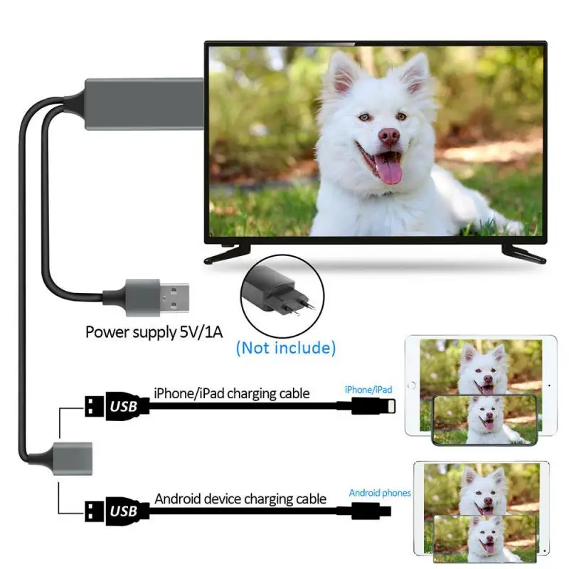 1080P HDTV кабель проектор TV Цифровой AV адаптер для iphone HDMI-совместимые кабели 12 13 XR XS