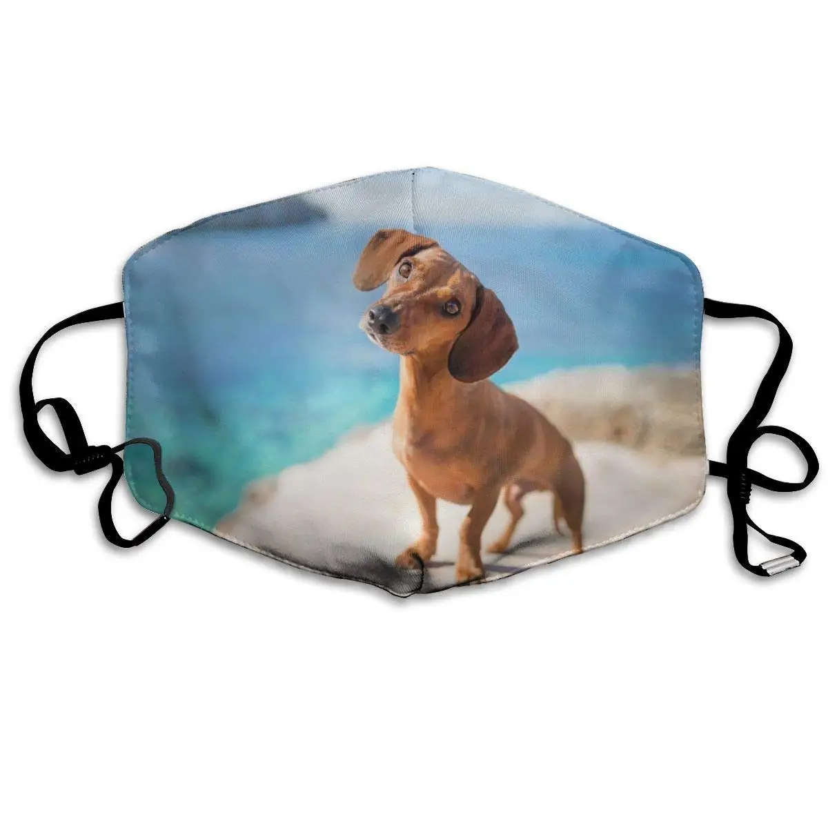 

Fashion Unisex Adult Ear Loop Face Mask-Anti Dust Warm Cycling Mouth Mask-Various Use-Adjustable Ear Loops Mouth Mask for