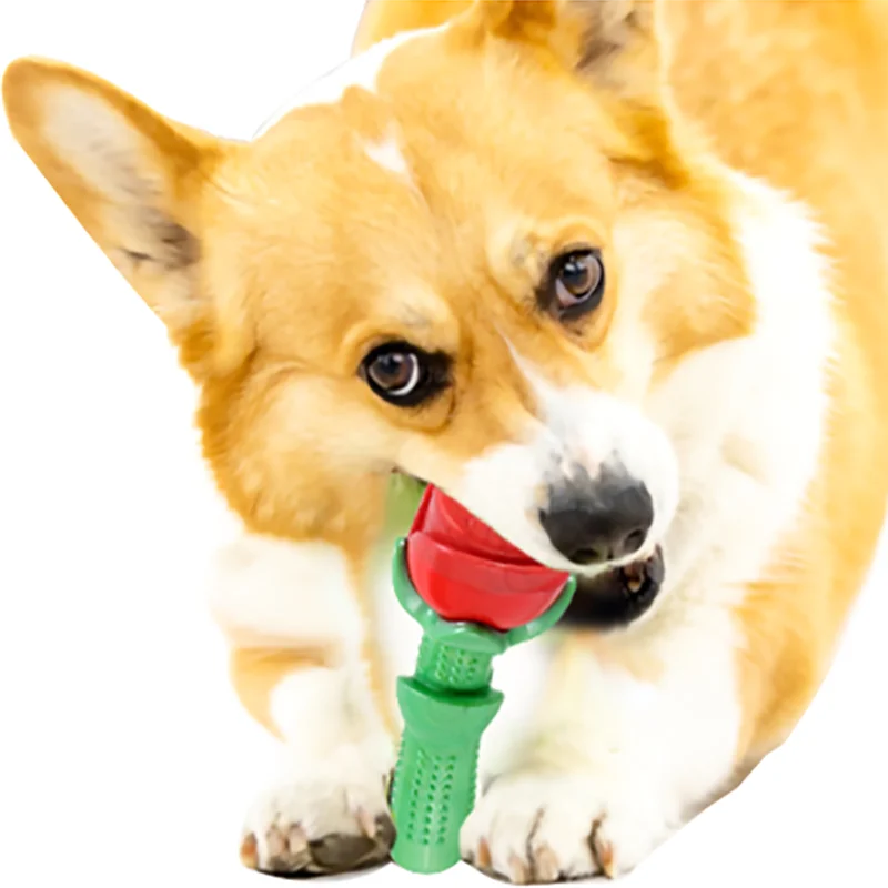 

1pc Rose Shape Molars Toy Pet Supplies Puppies Teething Sticks Dog Toy Safe Material Funny Dog Toy Pet Products