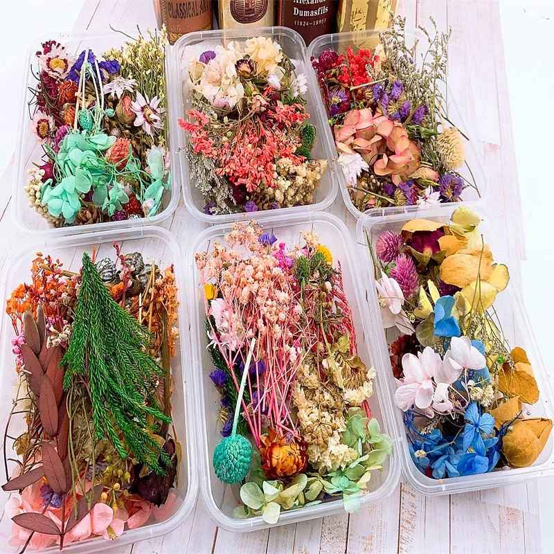 

1 Box Real Dried Flower Resin Plants Pendant Accessories Epoxy Necklace Dry Craft Making For Aromatherapy DIY Candle Jewelry