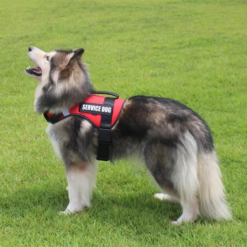 FML домашнее животное жгут для больших собак обслуживания жилет аксессуары
