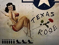 wwii airplane nose art pinup girl vintage decor 8x12 inch tin sign