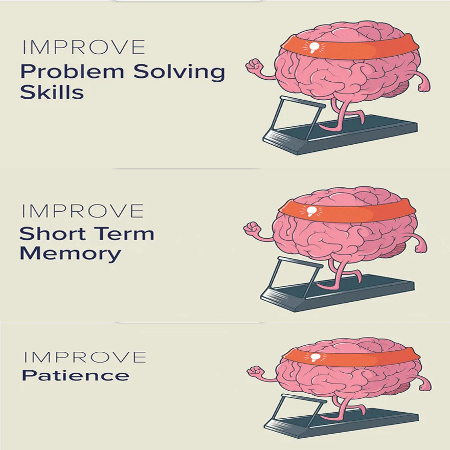 Torshn головоломки для улучшения здоровья мозга забавных интеллектуальных тикают