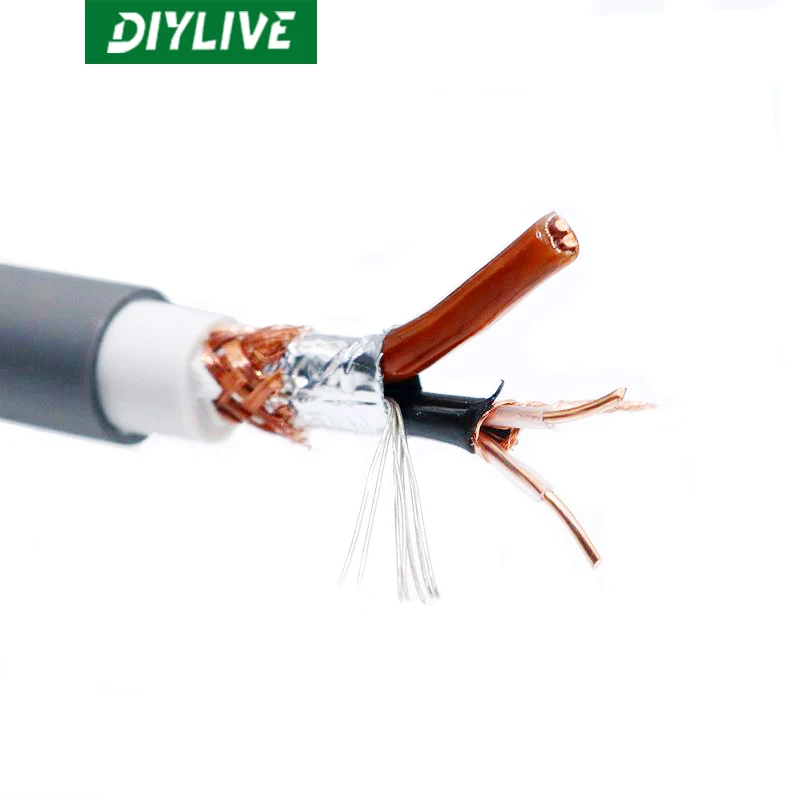 Однокристальный медный усилитель звука горячей температуры DIYLIVE M850SW аудиошнур RCA