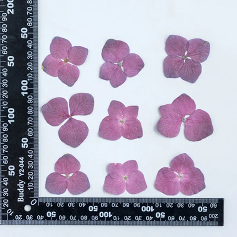 Натуральный цветок гортензии рубинового цвета для украшения сделай сам 120 шт. |