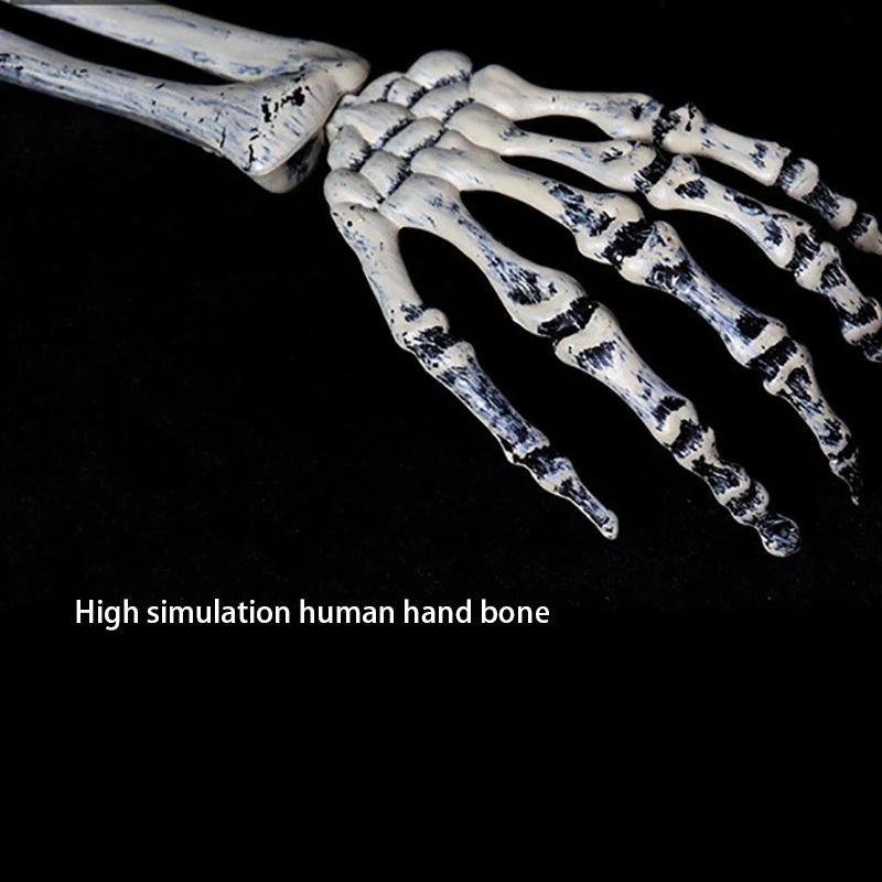 

Halloween Fake Skeleton Trick Props Plastic Lifelike Skull Bones Arm Figurine Halloween Party Decoration For Haunted House Home