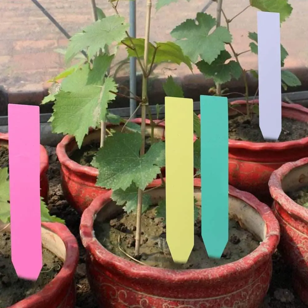 

100pcs Plastic Plant Tags Garden Plant Labels Nursery Markers Flower Pots Seedling Labels Tray Mark Tools Garden Planting Tools