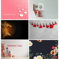 vinyl custom dreamvalentine day photography backdrops love heart rose flower photo studio props background 21128 qrjj 03
