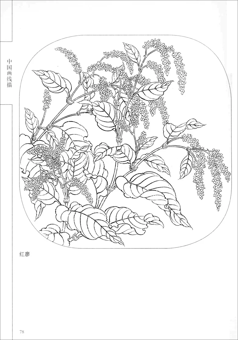 94 страницы китайской живописи сто цветов проведенными линиями коллекция