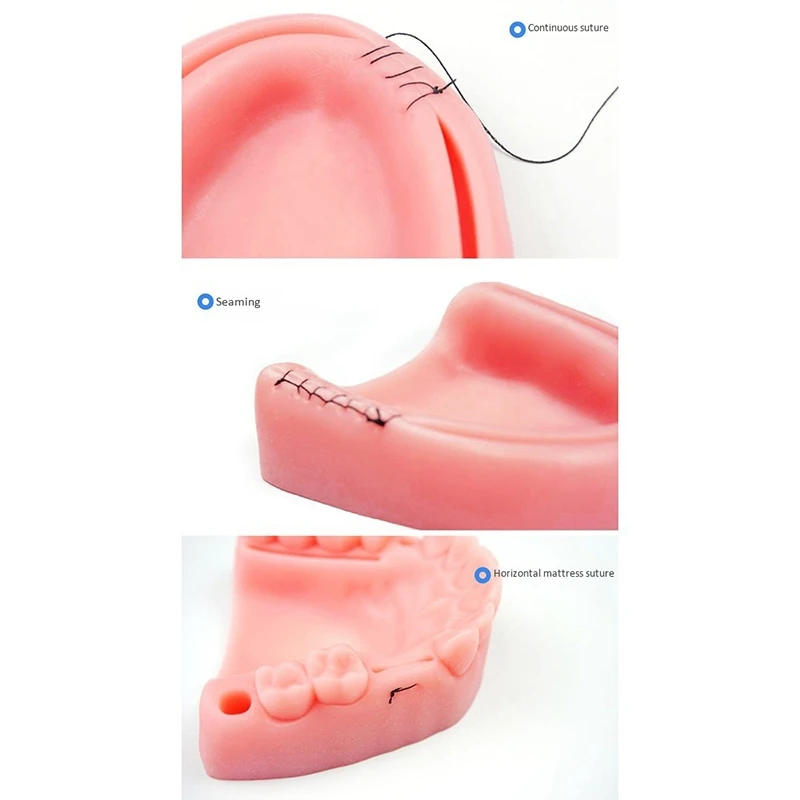 

Simulation Oral Suture Model with Needle Gum Suture Teaching Training Equipment Skill Practice
