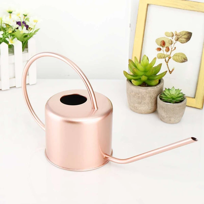 

LBER 1300Ml Watering Can Metal Garden Stainless Steel for Home Flower Water Bottle Easy Use Handle for Watering Plant Long Mouth