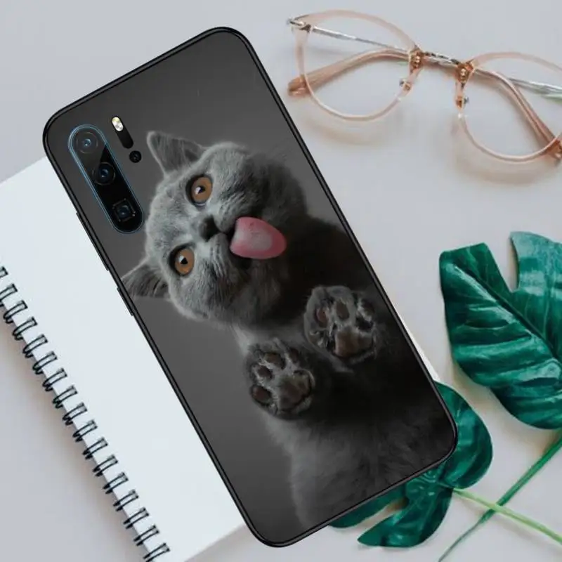 

British shorthair cat Phone Case For Huawei P40 P20 P30 lite Pro P Smart 2019 Mate 40 20 10 Lite Pro Nova 5t