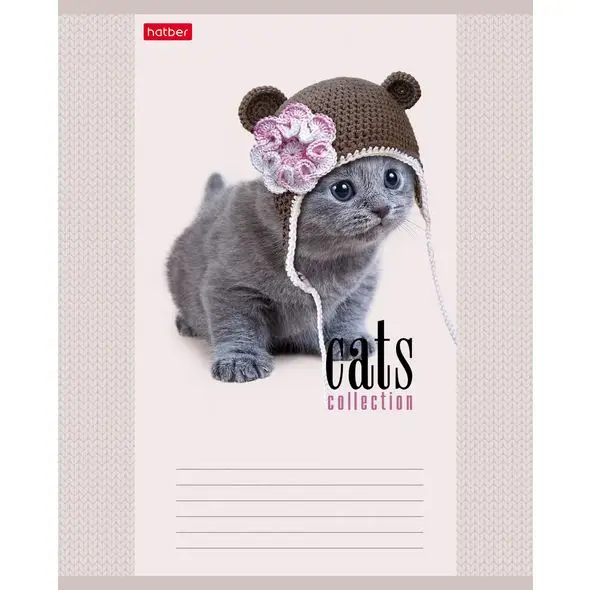 Набор тетрадей 12 л. х 20 шт Hatber &quotКототерапия&quot клетка на скобе 5 обложек |