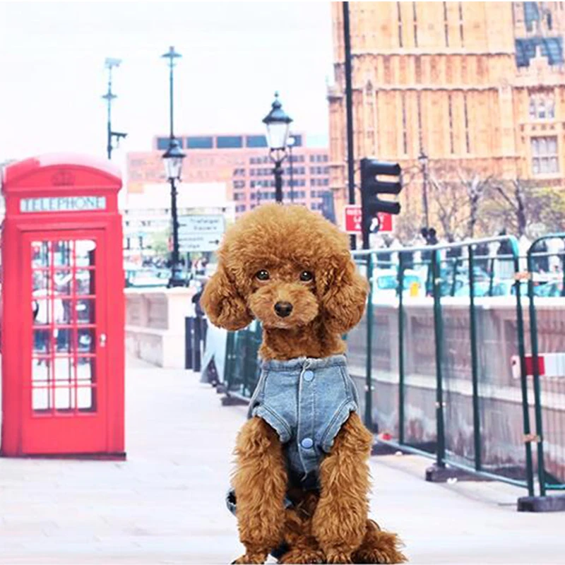Dog Coat Jacket Jeans Clothes For Small Medium Dogs Costume Spring Autumn Pet Jumpsuit Puppy Outfit Clothing | Дом и сад