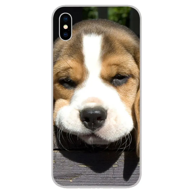 Футболка с принтом милый Бигль Силиконовые Мягкие ТПУ чехлы для iPhone 11 Pro XS Max X XR 8 7