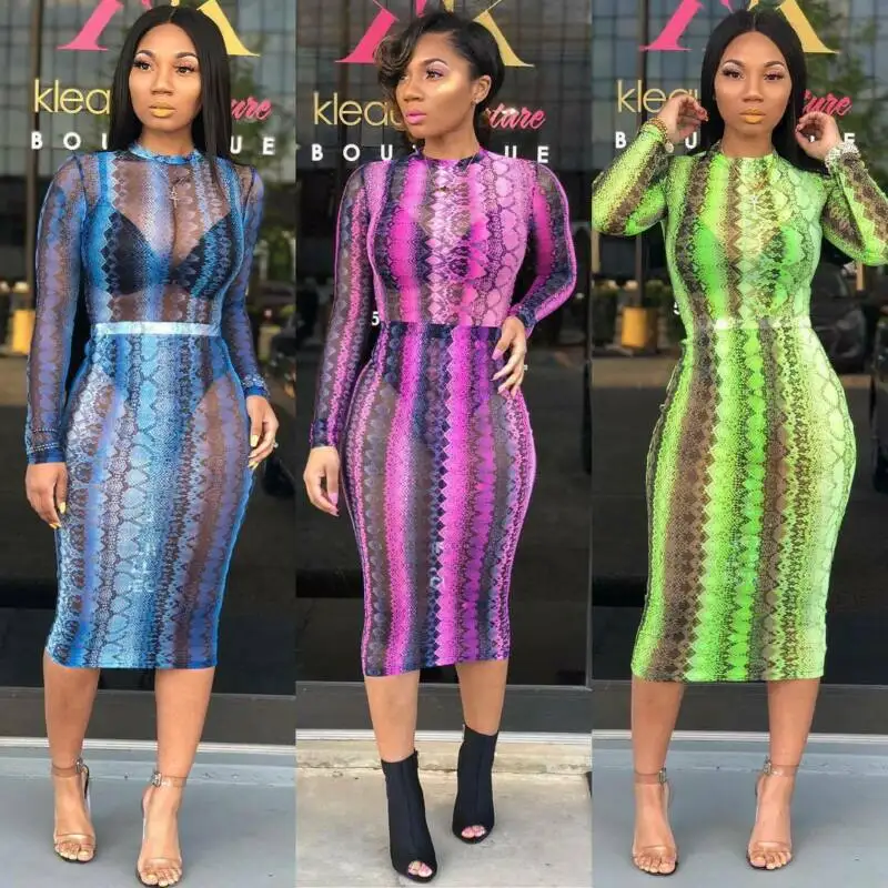 Соблазнительные прозрачные женские сетчатые комплекты со змеиным принтом