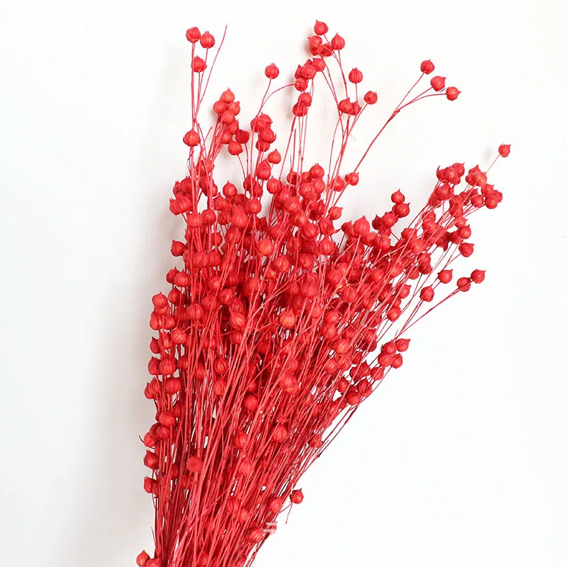 

50g Artificial Greens Home Decoration Eternal PlantsJequirity Rich Beans Bouqut Gift For Party Wedding Centerpieces For Tables