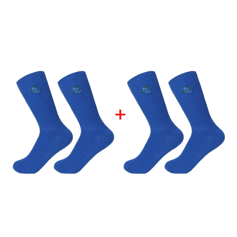 blueberry 2 pairs 1/2 пар, Милые кавайные носки для девочек с мультипликационным принтом фруктов, авокадо, банан, вишня, персик, meias, корейские забавные носки с вышивкой в стиле Харадзюку - Цвет: blueberry 2 pairs
