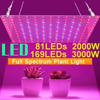81169 leds 2000w 3000w indoor led grow light plant growing lamp red blue full spectrum for indoor hydroponic plant