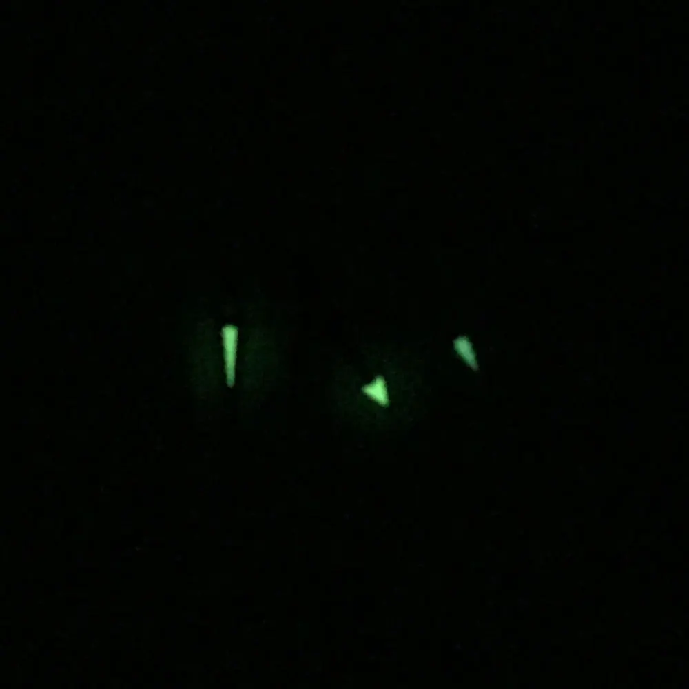 

Watch Green Luminous Hands Fit miyota 8205 8215 MINGZHU / DG 2813 Movement