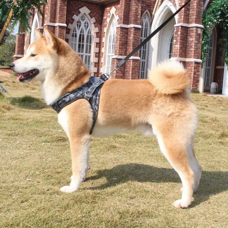 Новые Светоотражающие ремни для собак с принтом щенка кошки безопасности