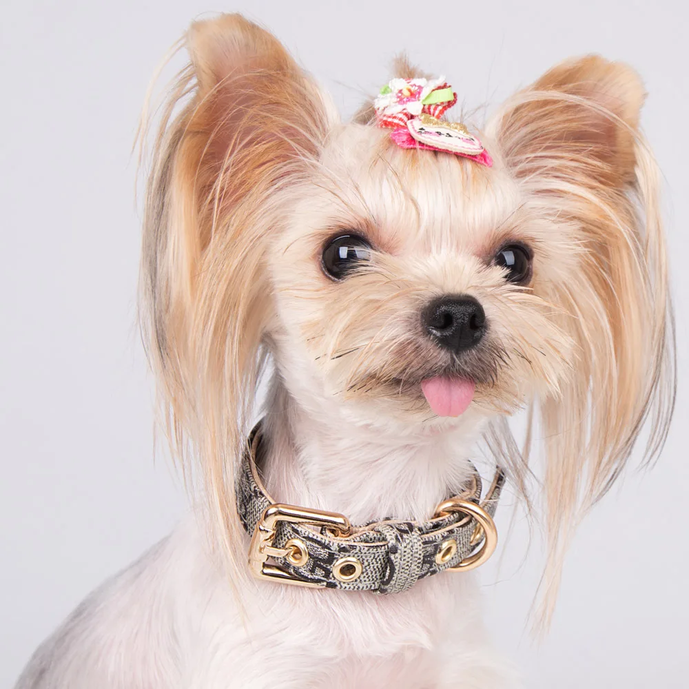 Conjunto de Correa y Collar para perro, accesorios de dise&ntilde;o para Bulldog Franc&eacute;s, Schnauzer Corgi, Chihuahua, Gato de cuero-3