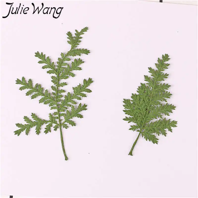 Julie Wang 12 шт. натуральный сушеный Артемизия Annua трава образец растения эпоксидные