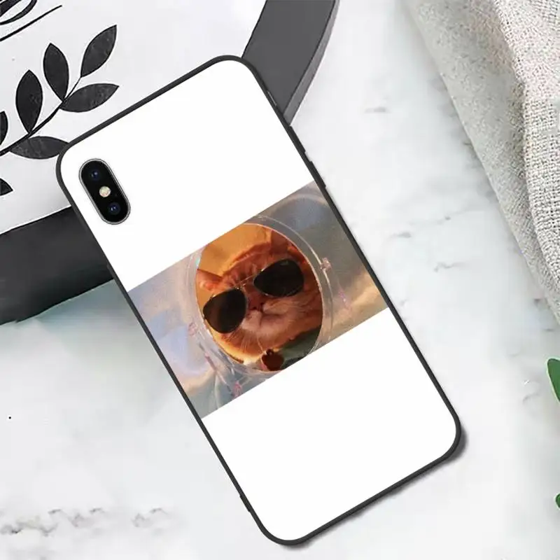 

Cute animal cat dog Phone Case Candy Color for iPhone 6 7 8 11 12 s mini pro X XS XR MAX Plus