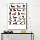 Плакат такса Dachshunds, подарок любимой собаки, украшение для гостиной, настенные художественные принты, домашний декор, холст, плавающая рамка