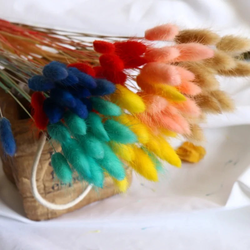 60 шт. трава с кроличьим хвостом Натуральные сушеные цветы для украшения дома