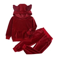 kids clothes set girls 2 to 6 years winter tracksuit for children boys hooded sweatshirt thick velvet outerwear top pants 2pcs