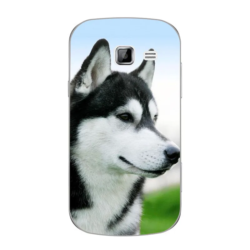 M19 Чехол для samsung Galaxy Star Pro S7260 S7262 7260 7262 GT-S7262, мультяшный мягкий чехол для телефона samsung i679 - Цвет: M19