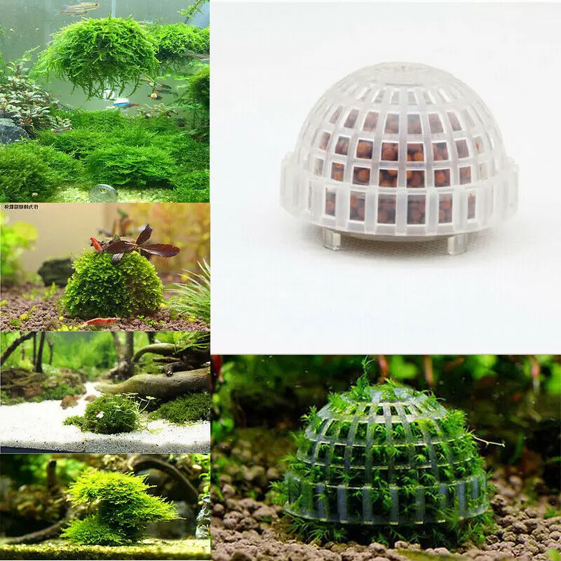 Мох Marimo фильтр для мячей живой аквариум рыб креветок домашний питомец | Дом и сад