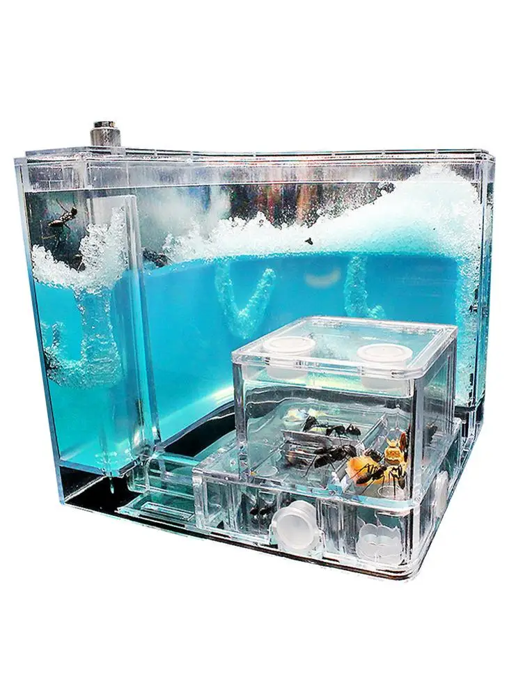 

Выравнивающий Лабиринт для домашнего наблюдения муравьев, Детская научная образовательная игрушка для домашнего наблюдения