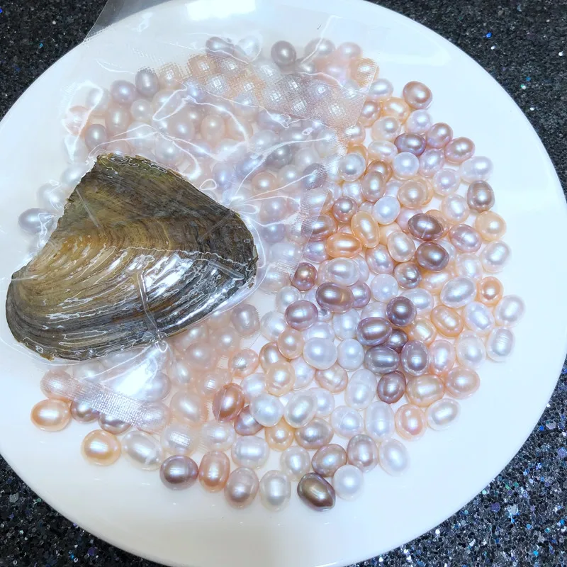 Маленькая жемчужина Wish Oyster Shell с вакуумной упаковкой подарок оптовая продажа