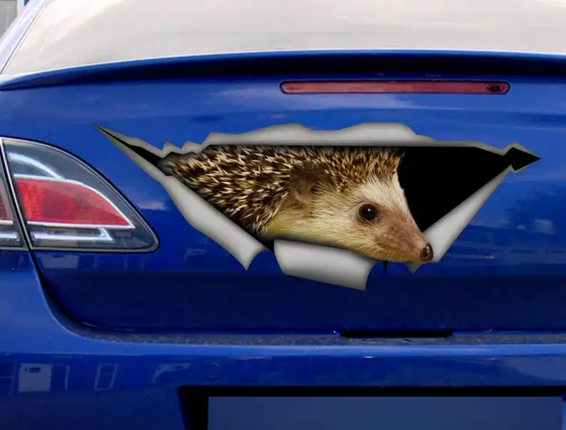 

2021 Hengehog car sticker, car decal, funny sticker