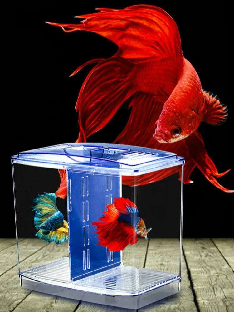 Новый двойной цилиндр маленький бак для бета разделительная коробка Douyu