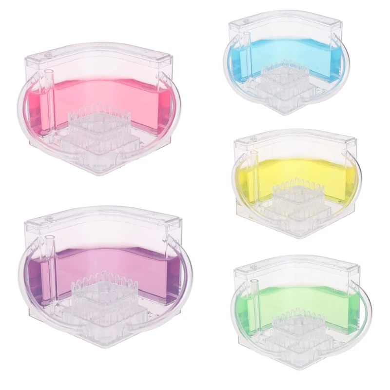 3D муравьиная ферма образовательный лабиринт система живого кормления муравьев