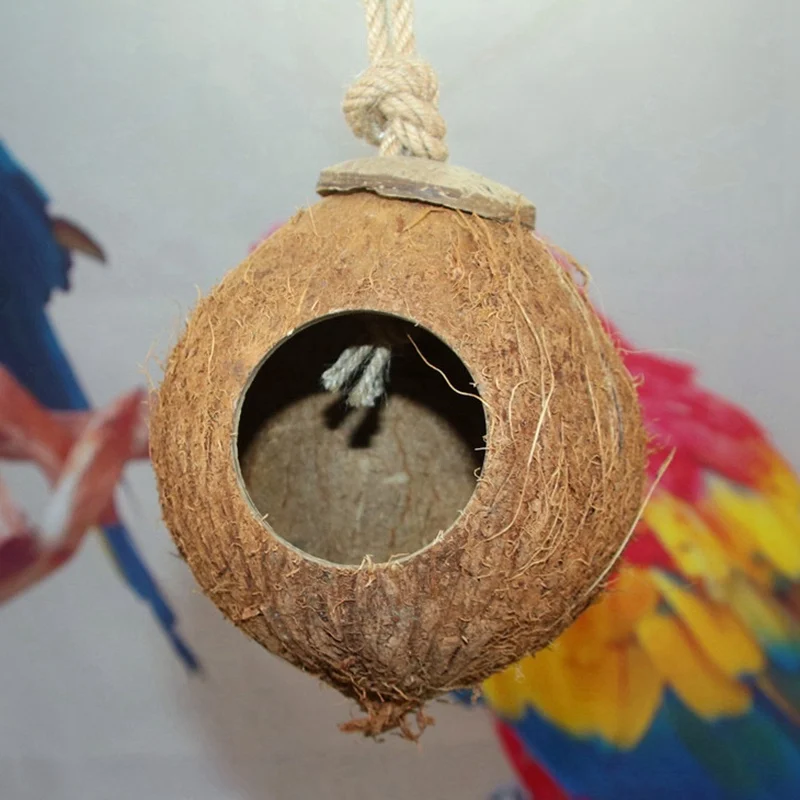 Висит попугая клетки попугай круглый Форма птичьи гнезда скорлупы кокосового