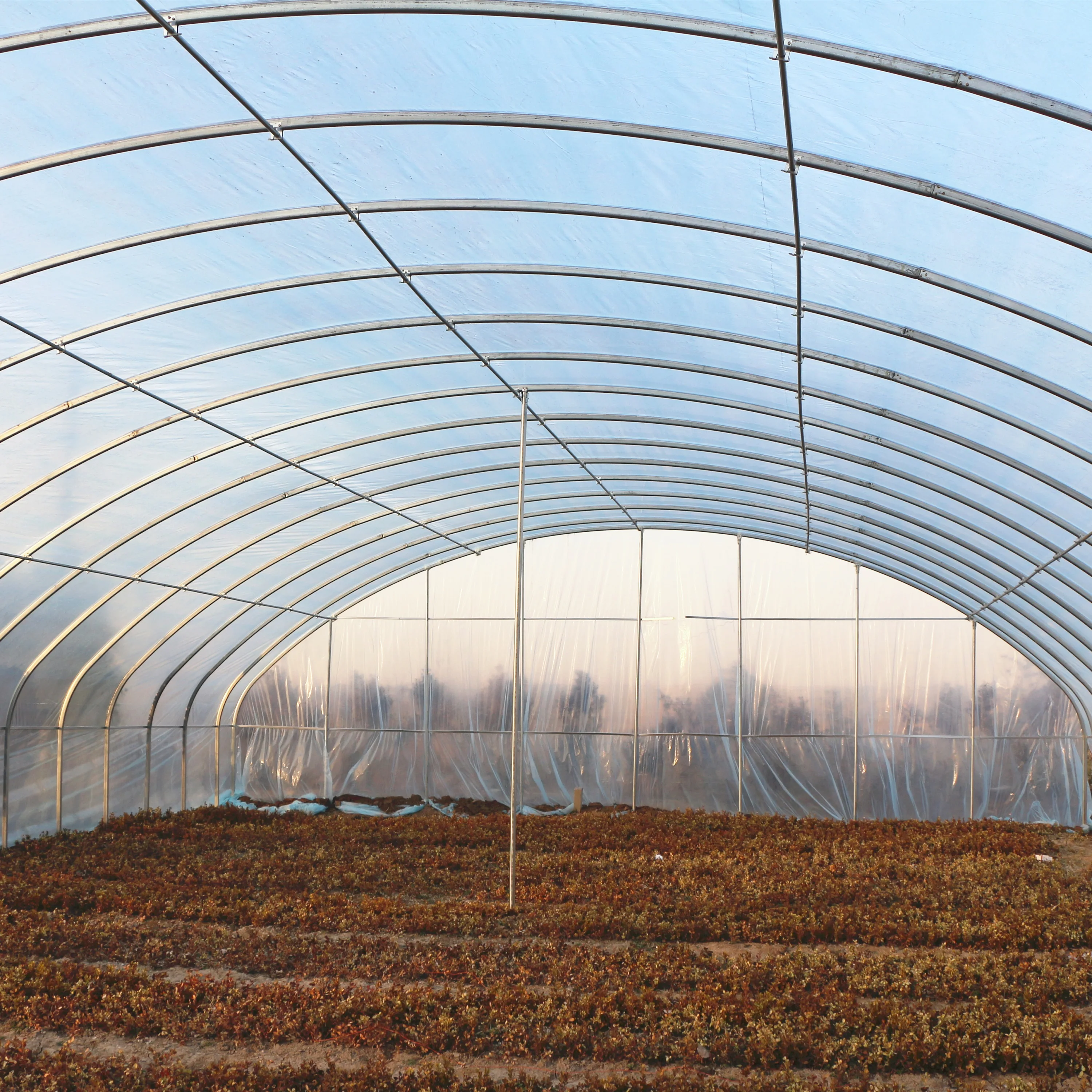 Рисунок 2 - 8mx50m-горячеоцинкованная конструкция